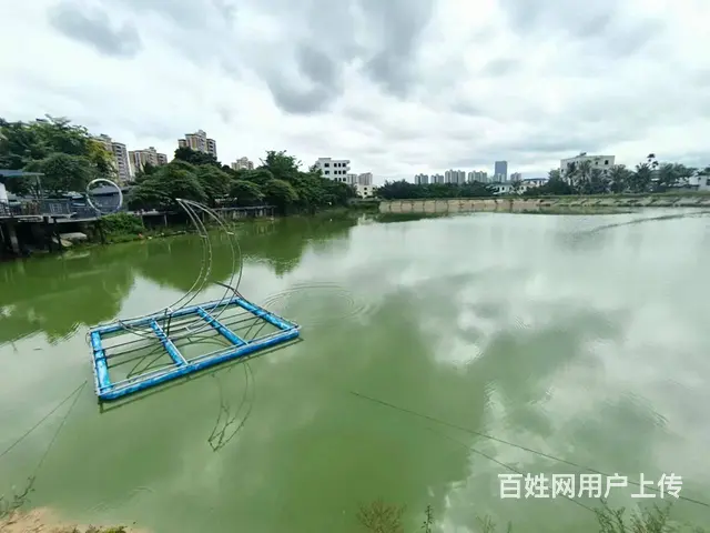（51旺铺推荐）荔枝沟花神谷生态园鱼塘及场地招合作伙伴 - 图片 8