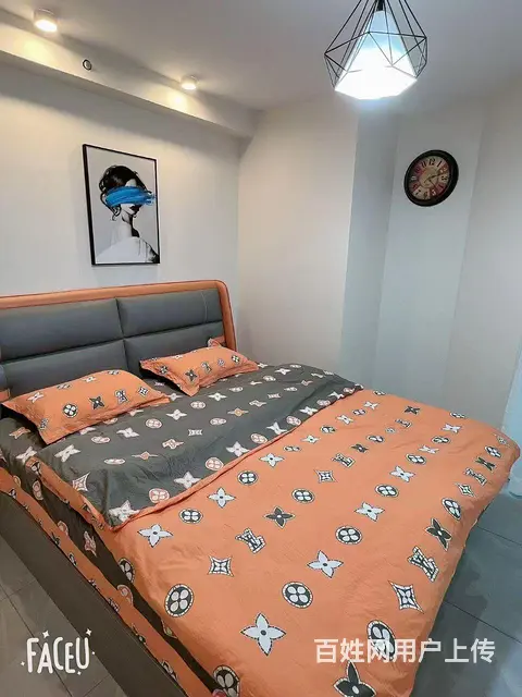 出租精品loft公寓 - 图片 3