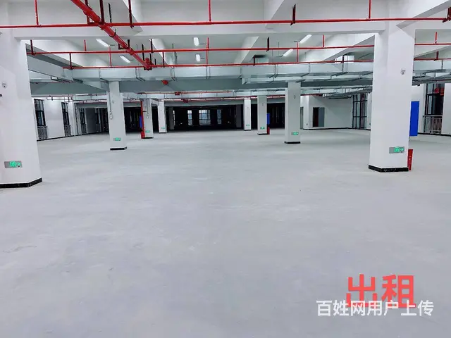 （老板本人）高新区全新标准厂房仓库招租  5849 - 图片 3