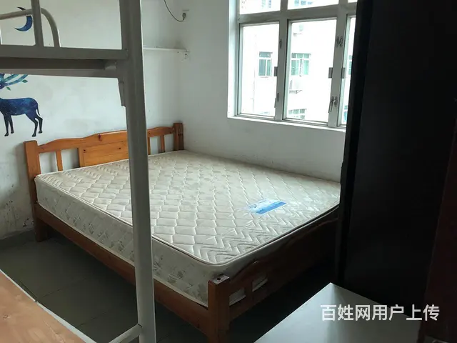 唐家商业广场 普通住宅1厅 精装修 - 图片 2