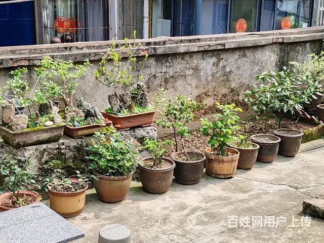 安静小区 - 图片 3