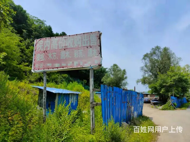 望花辽宁省木托盘边角料回收高价上门回收 - 图片 2
