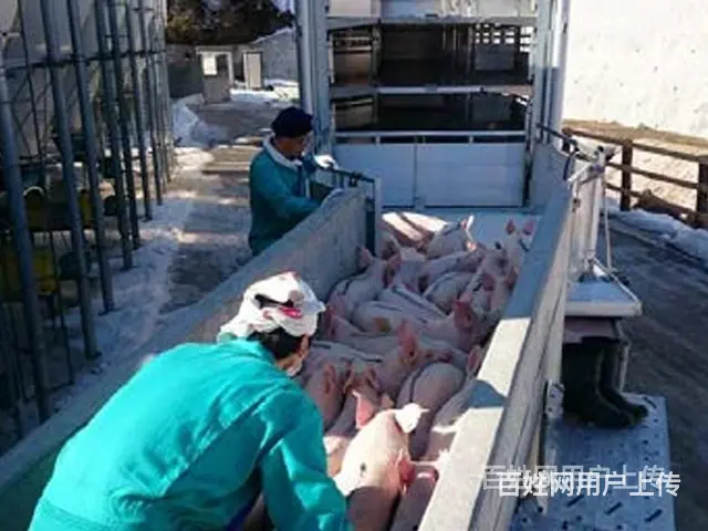 东风天锦铝合金养殖场转运车  全国送车 - 图片 3