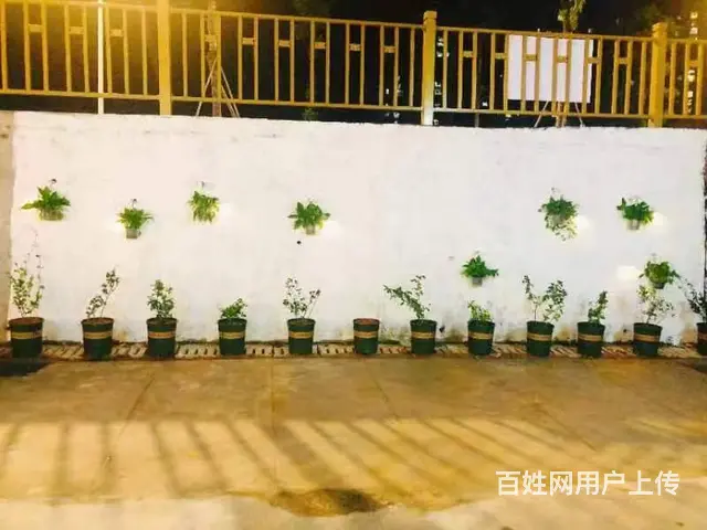 可空转！宜春市袁州区160平餐馆转让 - 图片 4