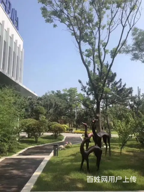 威海五渚河生态城 盘福园 70年产权一线海景房 - 图片 6