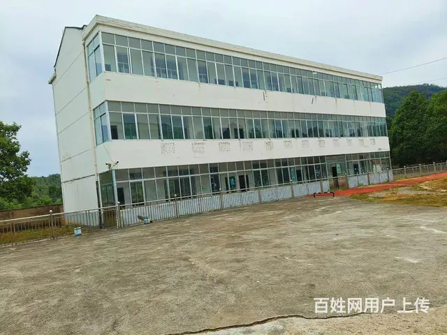 （个人发布）独门独院厂房办公楼优价出租(可长租) - 图片 5