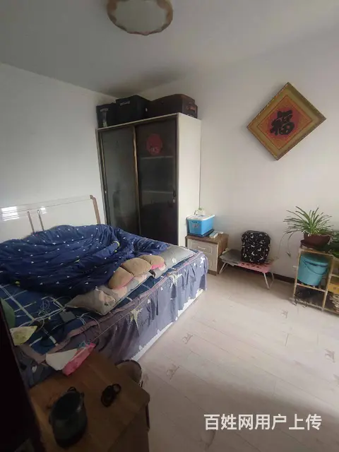 丽都新城(铁西)(铁西) 普通住宅2厅 中等装修 - 图片 3