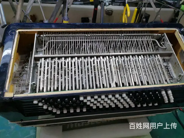 广州专业手风琴维修，鹦鹉百乐金杯手风琴维修 - 图片 6