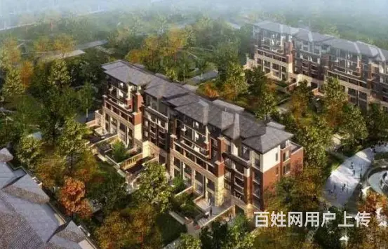 特价别墅：原价133万，109万急售 - 图片 3