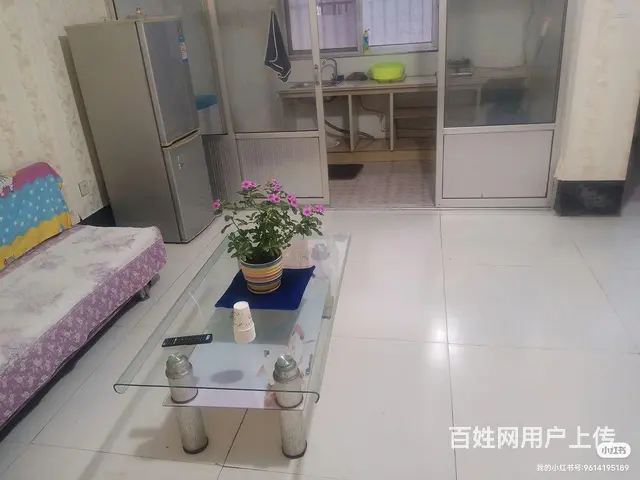 两室一厅一厨一卫的房子出租 - 图片 3