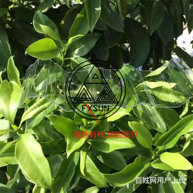 无棣采光瓦 滨州展厅采光瓦 无棣走廊采光瓦 - 图片 6