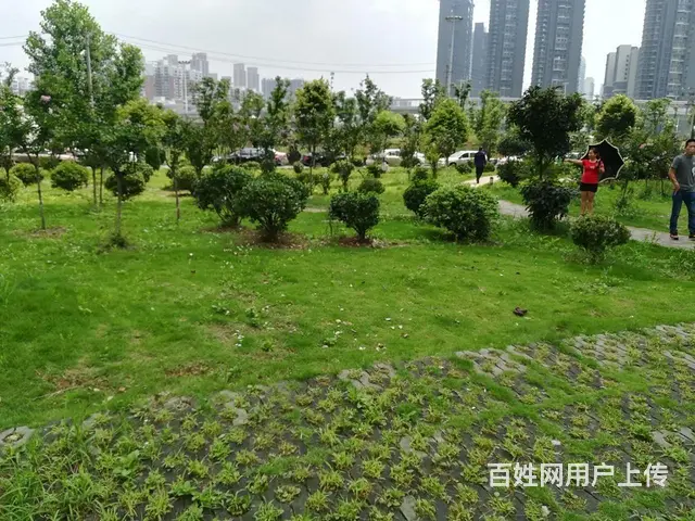正岳家嘴口 山河大厦 蓝晶绿洲 华腾园 东沙花园 - 图片 11