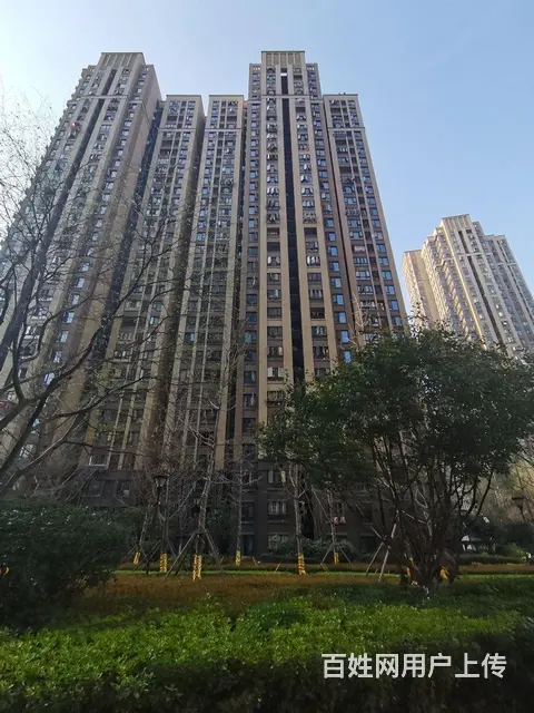 居家陪读近金地永旺 直达岳家嘴 楚河汉街 洪山广场 - 图片 12