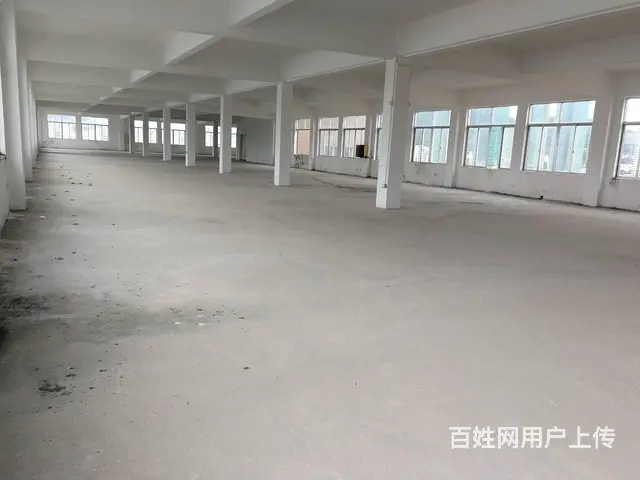 斗门珠峰大道旁全新厂房 - 图片 3