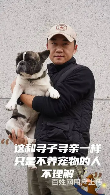 广州狗跑丢了找不到怎么办？找回来几率大吗？快速找狗 - 图片 2