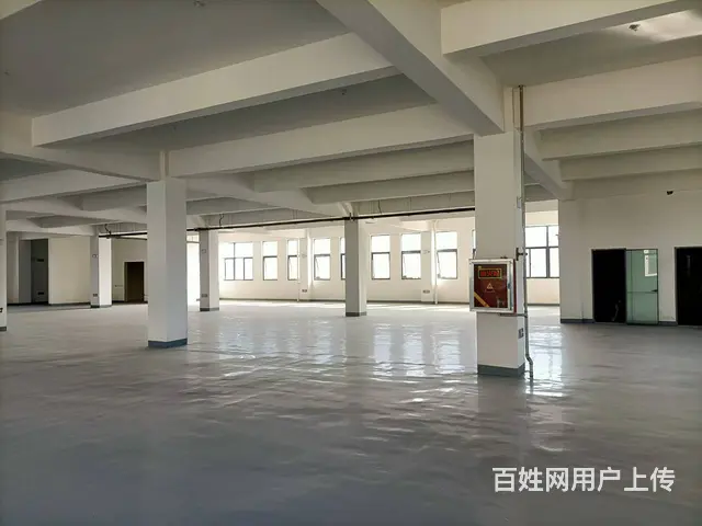 （圆点快讯）睢宁宁江工业园全新厂房出租 - 图片 8