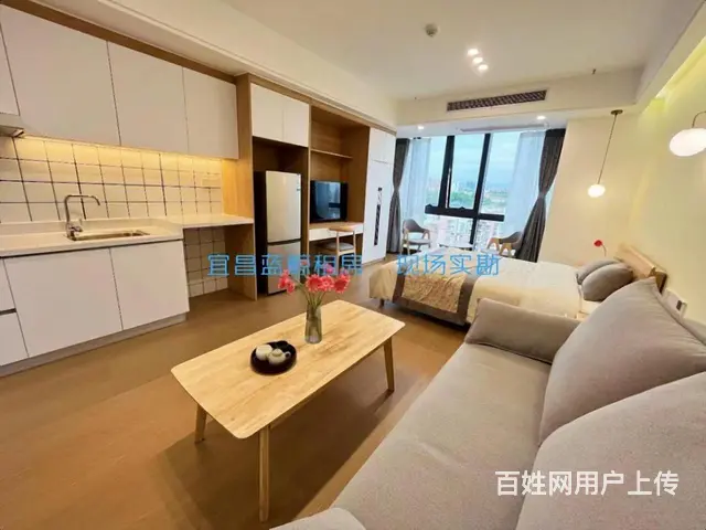 （多套可选 可押一付一~租期灵活）胜利4路星光天地 拎包入住 - 图片 6