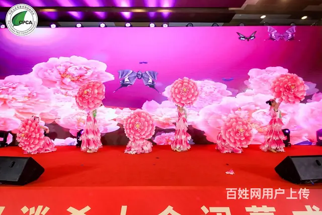 苏州年会演艺节目礼仪庆典演出摄影摄像灯光舞美 - 图片 3