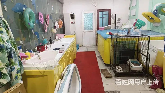 （徐州找店网）鼓楼区琵琶花园母婴店➕社区团购 - 图片 5