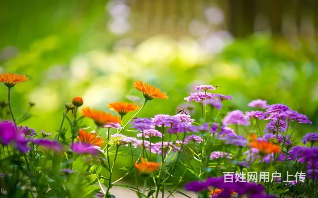 郑州消防一资质代办转让，河南房建市政二公路二转让 - 图片 3