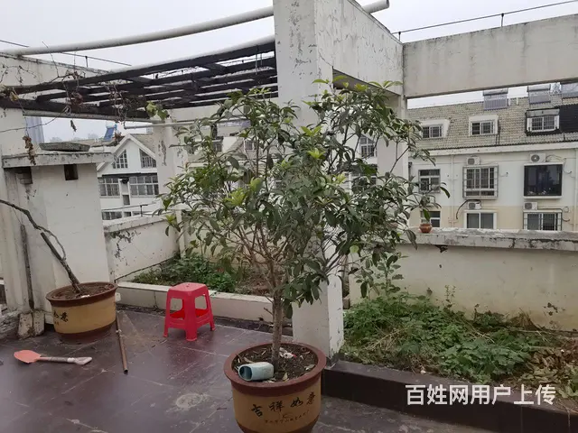 世纪花园六七复式楼，两个露台，空中别墅。 - 图片 12