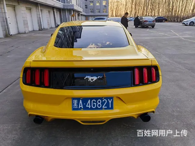 福特Mustang [野马] 2016款 2.3T 手自一体 - 图片 4