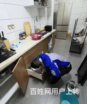 灭蟑螂公司电话丶欢迎上门查看资质 - 图片 1