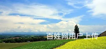常德到长沙网约车拼车电话 长沙到常德黑车商务车 - 图片