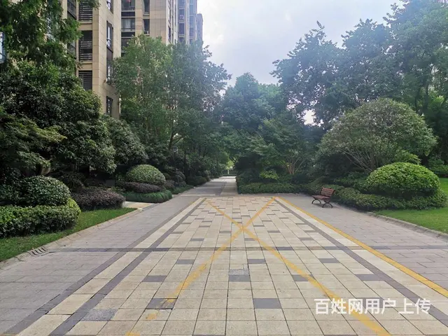 丁桥私房急售！精装修318.00万元龙湖名景台(公寓住宅)多 - 图片 12
