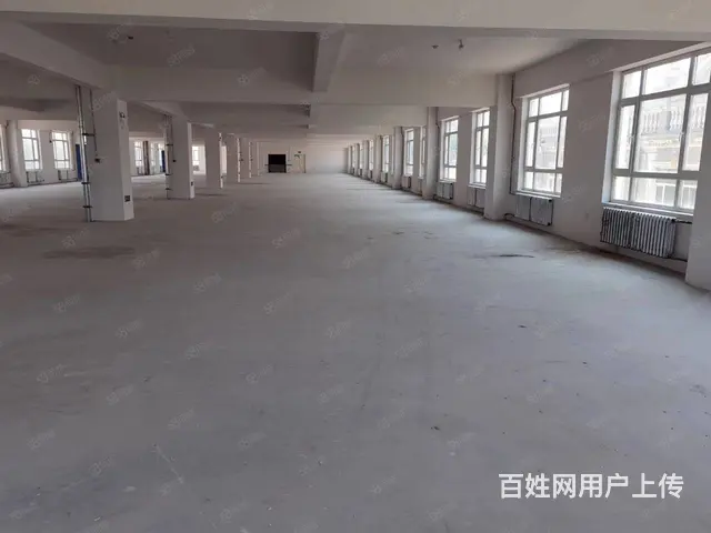 道里机场路薛家二场村厂房出租 - 图片 5