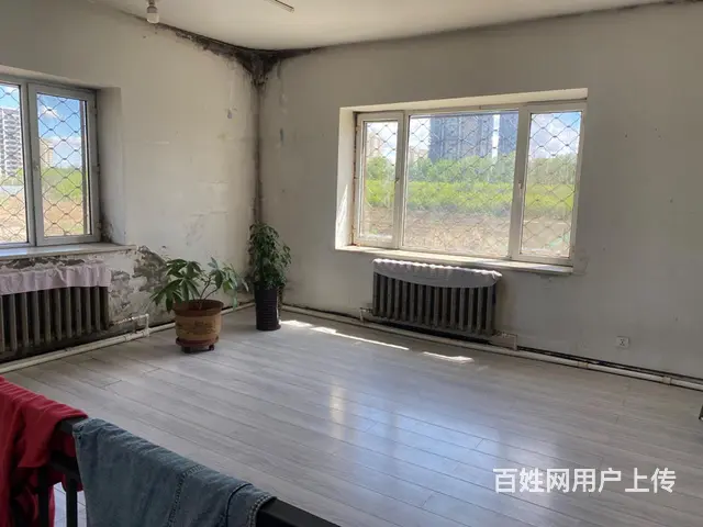 香坊幸福厂房展厅仓库出租动力电 - 图片 5
