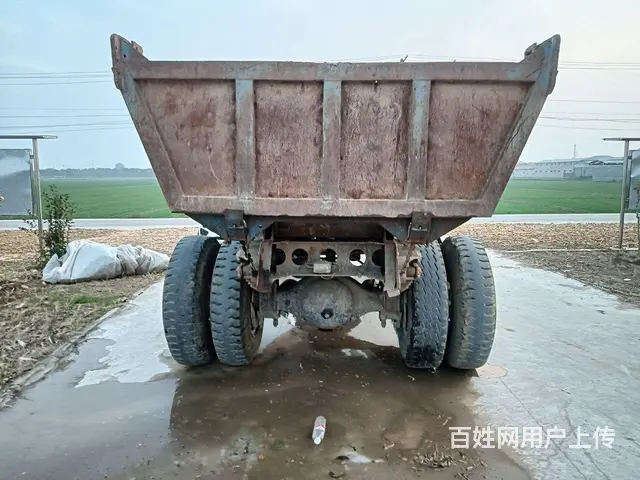 四不象 - 图片 2