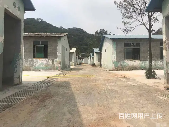 （老板本人）望城区独门独院厂房/仓库房东直租  6130 - 图片 2