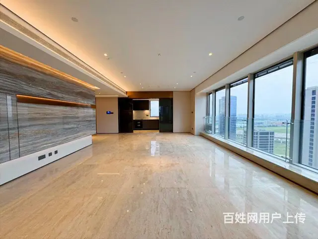 0急卖！江景大平层！价格可大砍！尽管问底价！急急急！ - 图片 5
