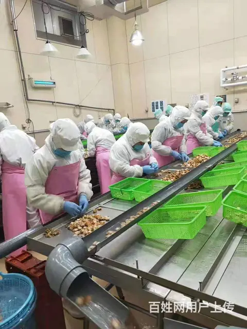 出国劳务（年薪30万保签） - 图片 8
