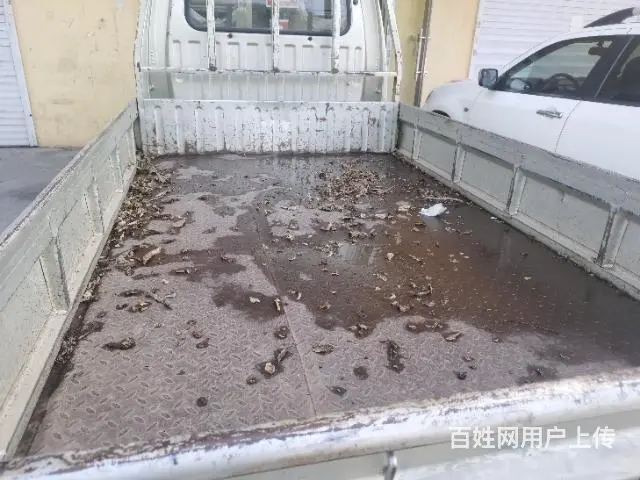 12年双排车 - 图片 2
