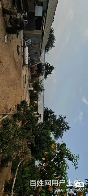 转让承包地，租赁也可以，温泉镇 - 图片 3