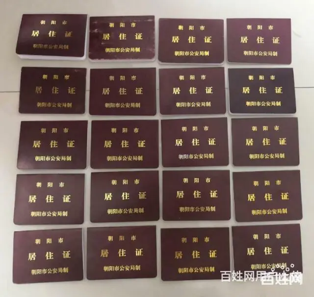 专业代办各类车务手续 - 图片 2