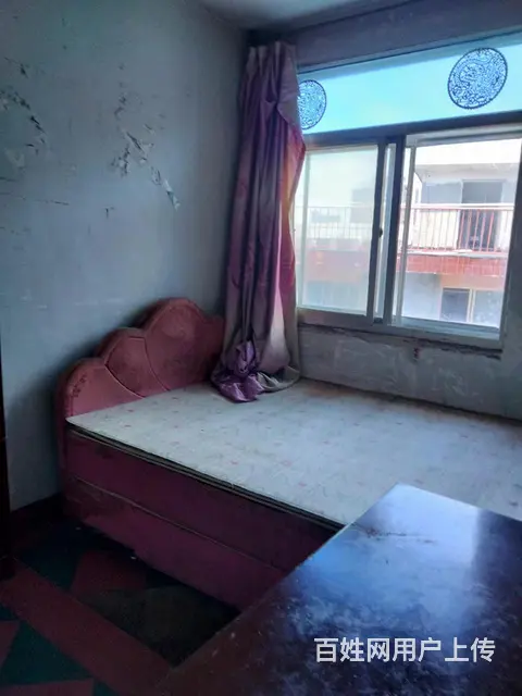 南洪街二室一厅出租900 - 图片 1