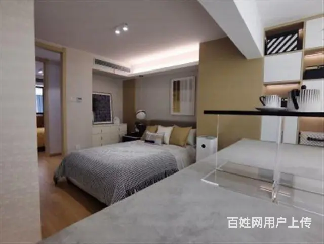淹城对面新出复式公寓南北通透民用水电送大阳台准现房 - 图片 3
