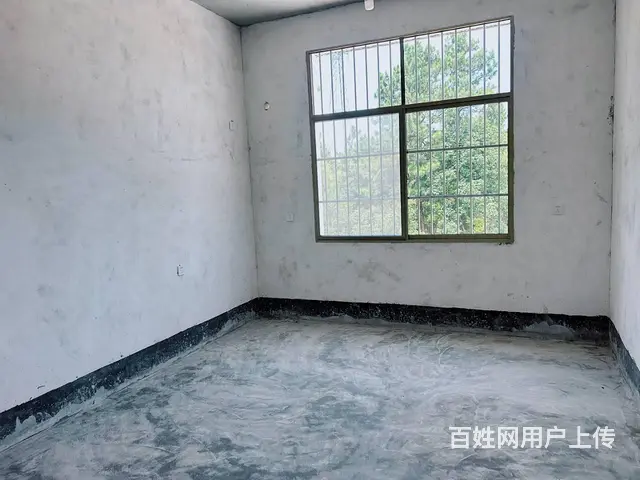 （老板本人）长沙县开元东路旁新建独栋厂房/仓库出租 6874 - 图片 12
