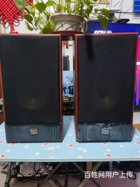 转让一套闲置的高档豪华音箱 - 图片 5
