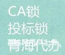 青海西宁公共资源交易中心电子招投标CA锁跑腿代办 - 图片 4