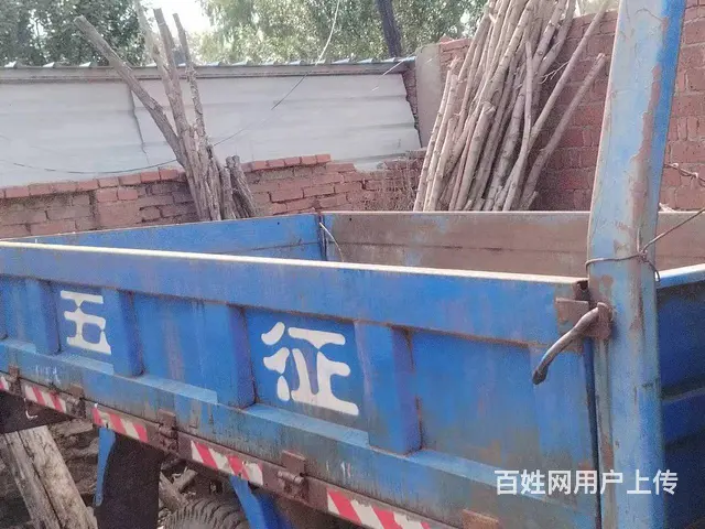 其他 其他 - 图片 3