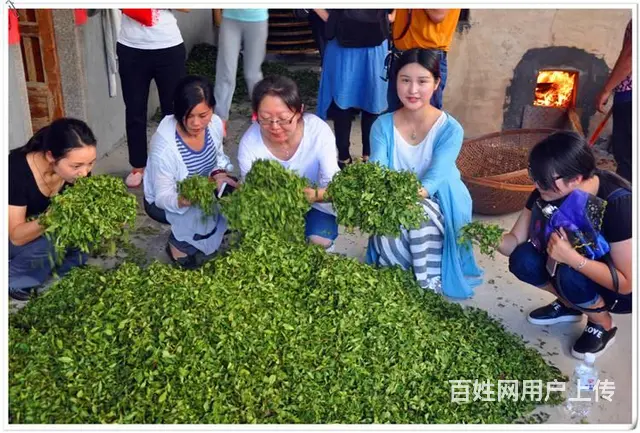 学员问天晟茶艺培训学校：茶艺课程的收获和感想 - 图片 6