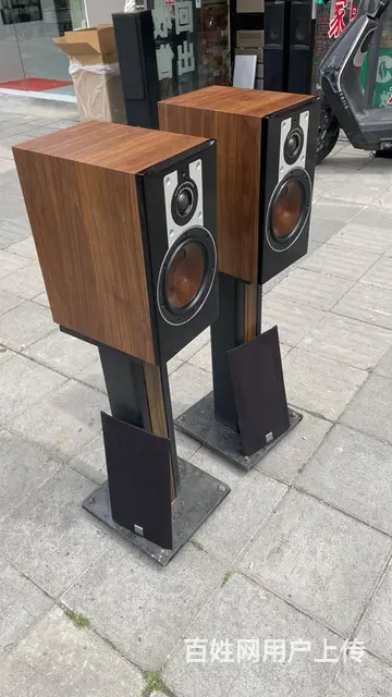 DALI达尼OPTICON 2书架音箱，丹麦制造， - 图片 6
