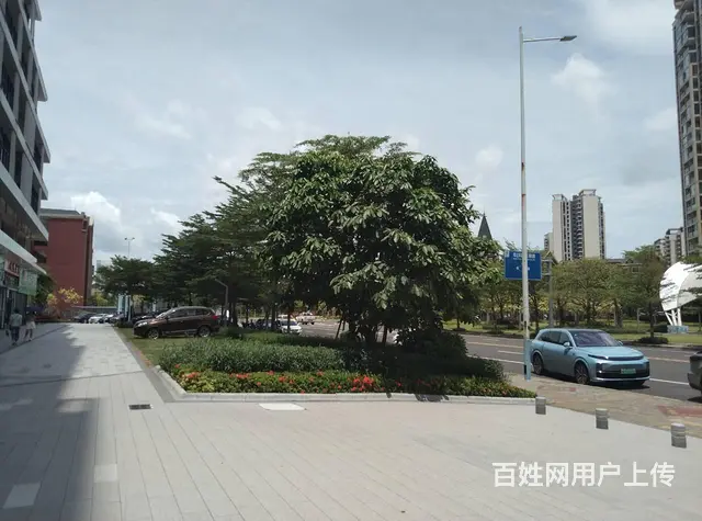 51旺铺推荐新埠岛碧桂园106平和夏日广场121平铺面出租 - 图片 8