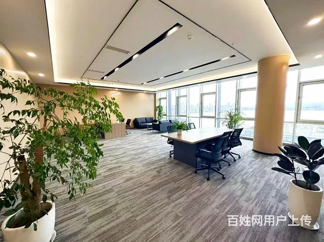 天府菁蓉中心兴隆湖低密阔办公全装全配环保办公家居 - 图片 5