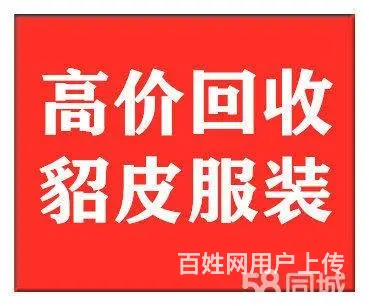 秦皇岛回收貂皮一般什么价格 哪里有回收貂皮的 - 图片
