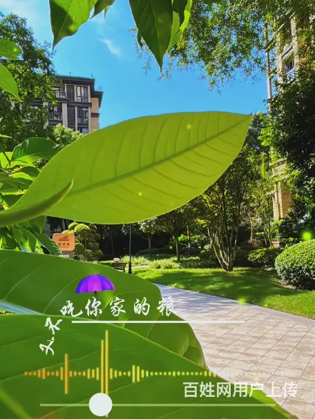 大本营的早餐分享来了哟！ - 图片